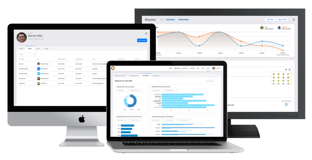 Business goal tracking with custom software